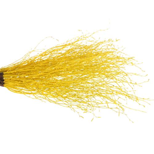 Birke gelb gefärbt 70cm