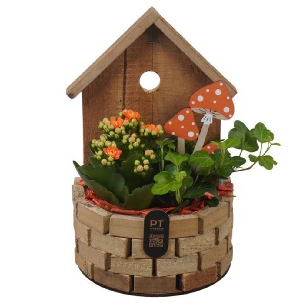 Kal.Arr PTHI3339 Herbst T17 H026