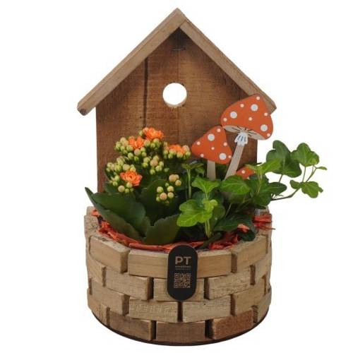 Kal.Arr PTHI3339 Herbst T17 H026