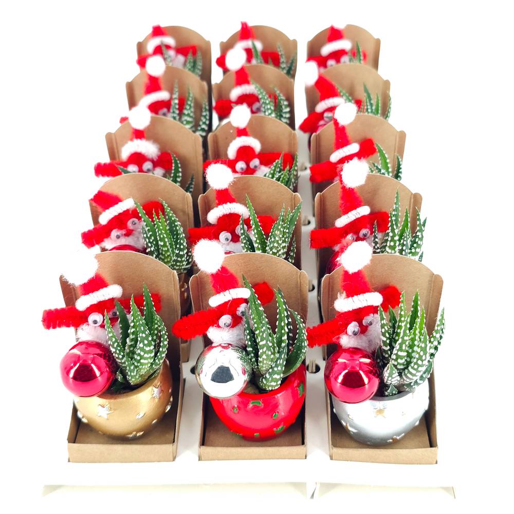 Succ.Arr mix DeLuxe Weihnachten T04