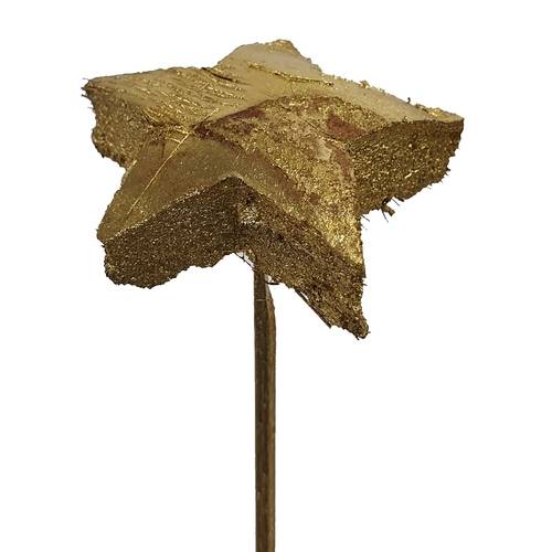 Trocken Kokos Stern auf Stab gold L50cm