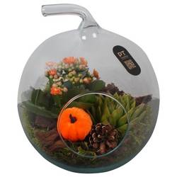 Kal.Arr PTHG3412 Herbst T19 H023
