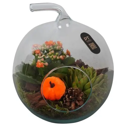 Kal.Arr PTHG3412 Herbst T19 H023