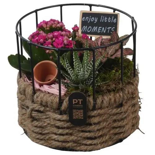 Kal.Arr PTIB5273 T17 H016