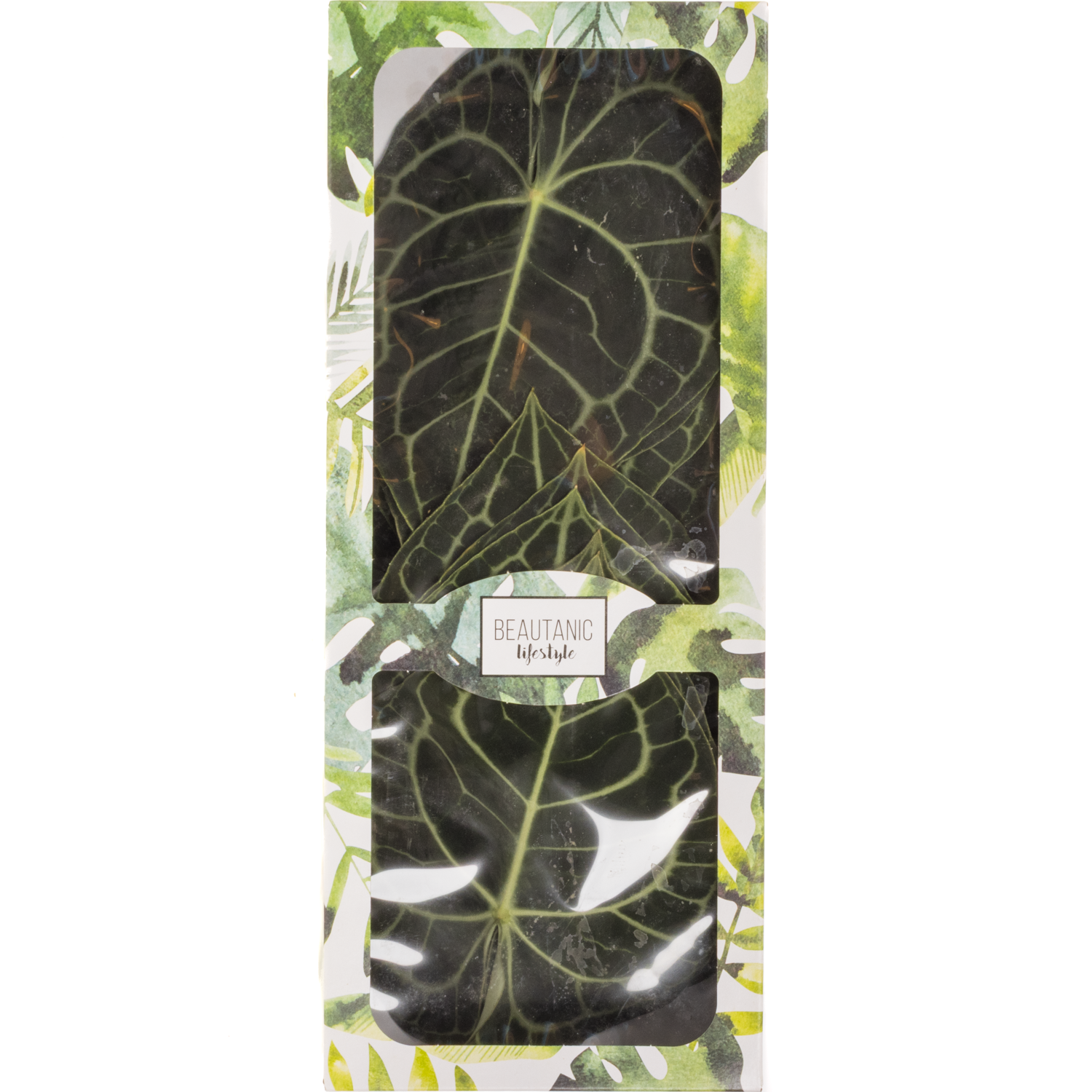 Anthurium Blatt grün Clarinervium 15cm x6