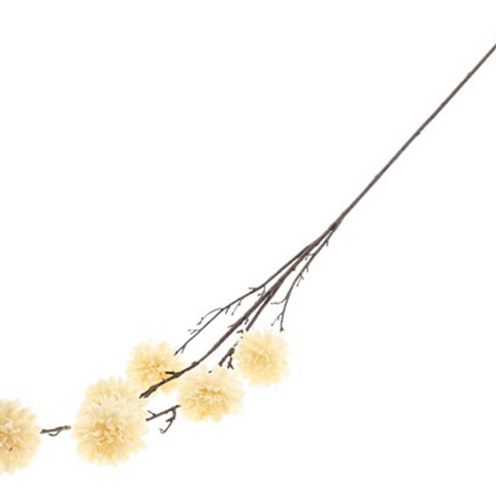 Seiden Dhalia Charm creme L120cm