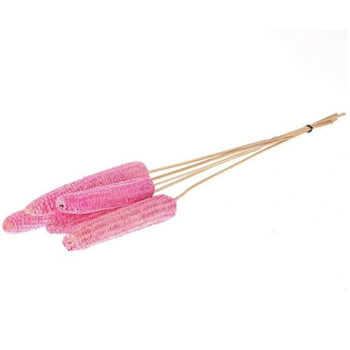 Trocken Maize rosa L60cm x10