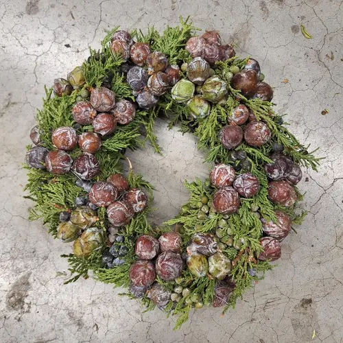 Kranz mix Cupress Natur D30cm