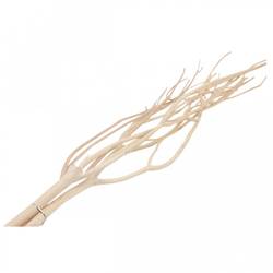 Mitsumata natur L115cm x5
