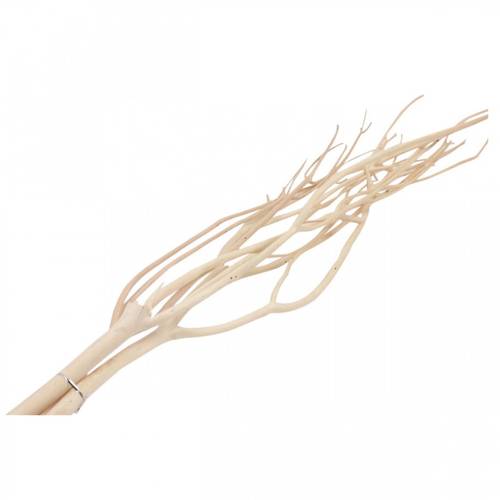 Mitsumata natur L115cm x5