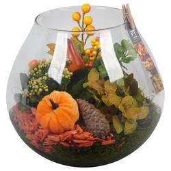 Kal.Arr PTHG3379 Herbst T23 H027