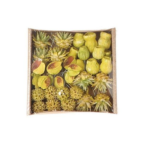 Trocken Exotic mix auf Draht grün x35