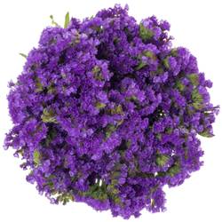 Statice blau Crystal Dark Blue 60 Gramm 80cm