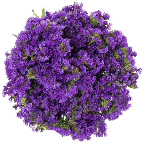 Statice blau Crystal Dark Blue 60 Gramm 80cm