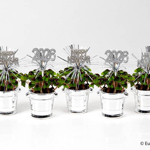 Oxalis E3608 silber T06 H015