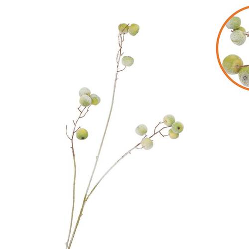 Seidenapfel Schnee grün L93cm