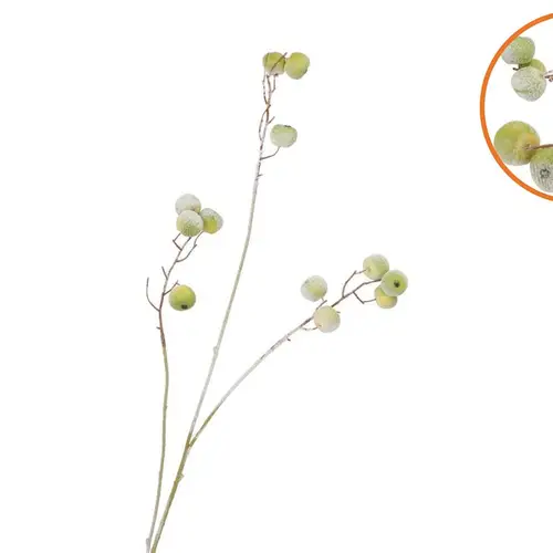 Seidenapfel Schnee grün L93cm