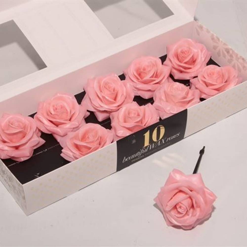 Seiden Wachs Rose apricot D12cm (120) Versilia