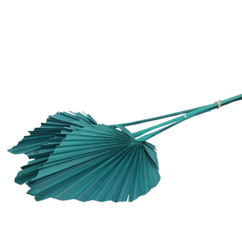 Trocken Palm Spear türkis L50cm x10