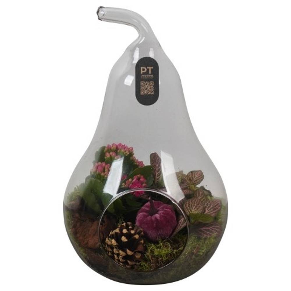 Kal.Arr PTHG3415 Herbst T17 H030