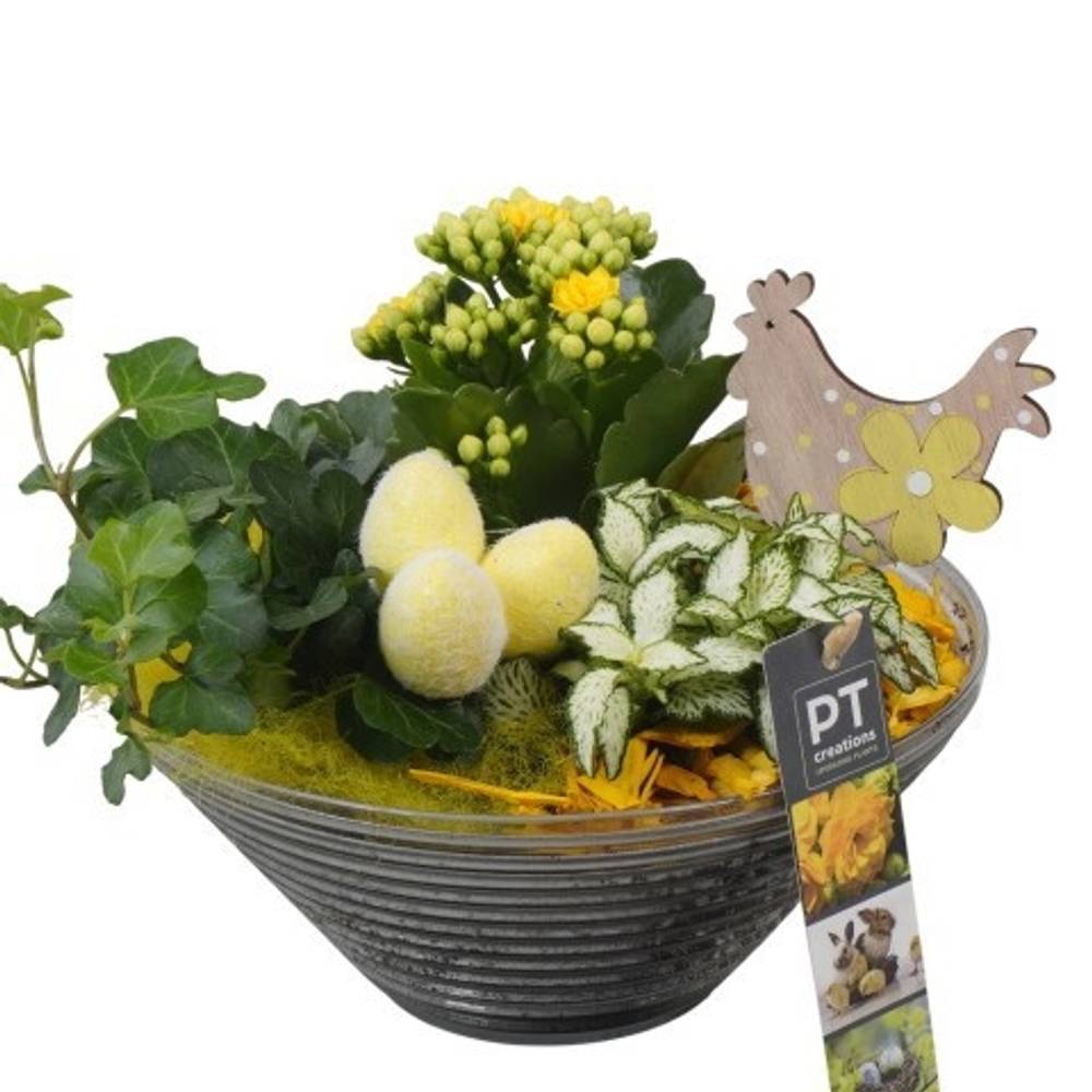 Kal.Arr PTPG9349 Ostern T19 H022