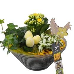 Kal.Arr PTPG9349 Ostern T19 H022