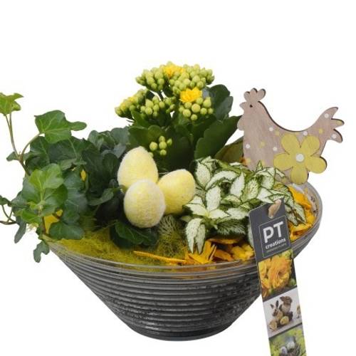 Kal.Arr PTPG9349 Ostern T19 H022