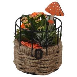 Kal.Arr PTHI3356 Herbst T13 H019