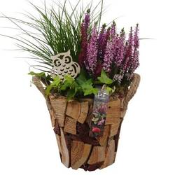 Garten.Arr PTHO4197 Herbst T19 H043
