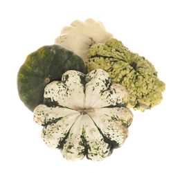 Zierk.Patisson mix Bol 18cm