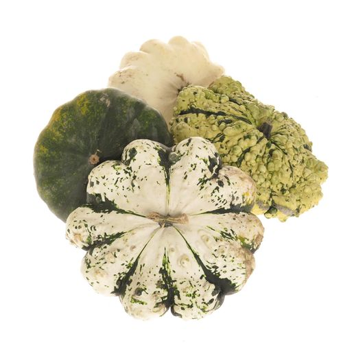 Zierk.Patisson mix Bol 18cm
