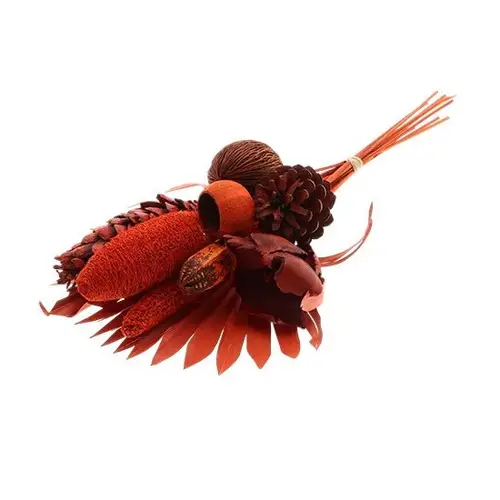 Trockenblumen Strauss Exotic orange L55cm 