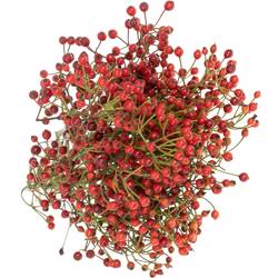 Hagebutte rot Autumn Spirit 60cm