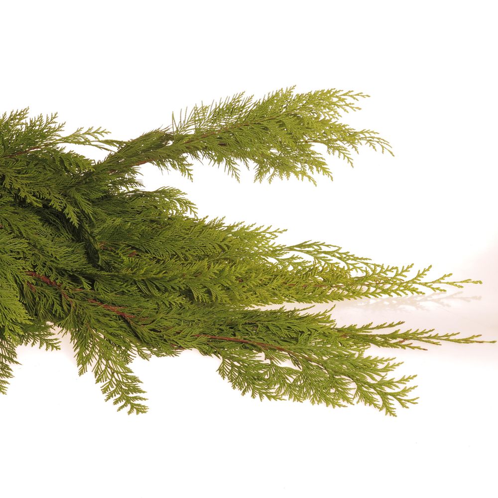 Thuja Bund Thuja/Koniferen 3 Kg