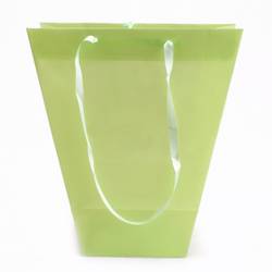Tasche Clear Lime 24/11x26cm