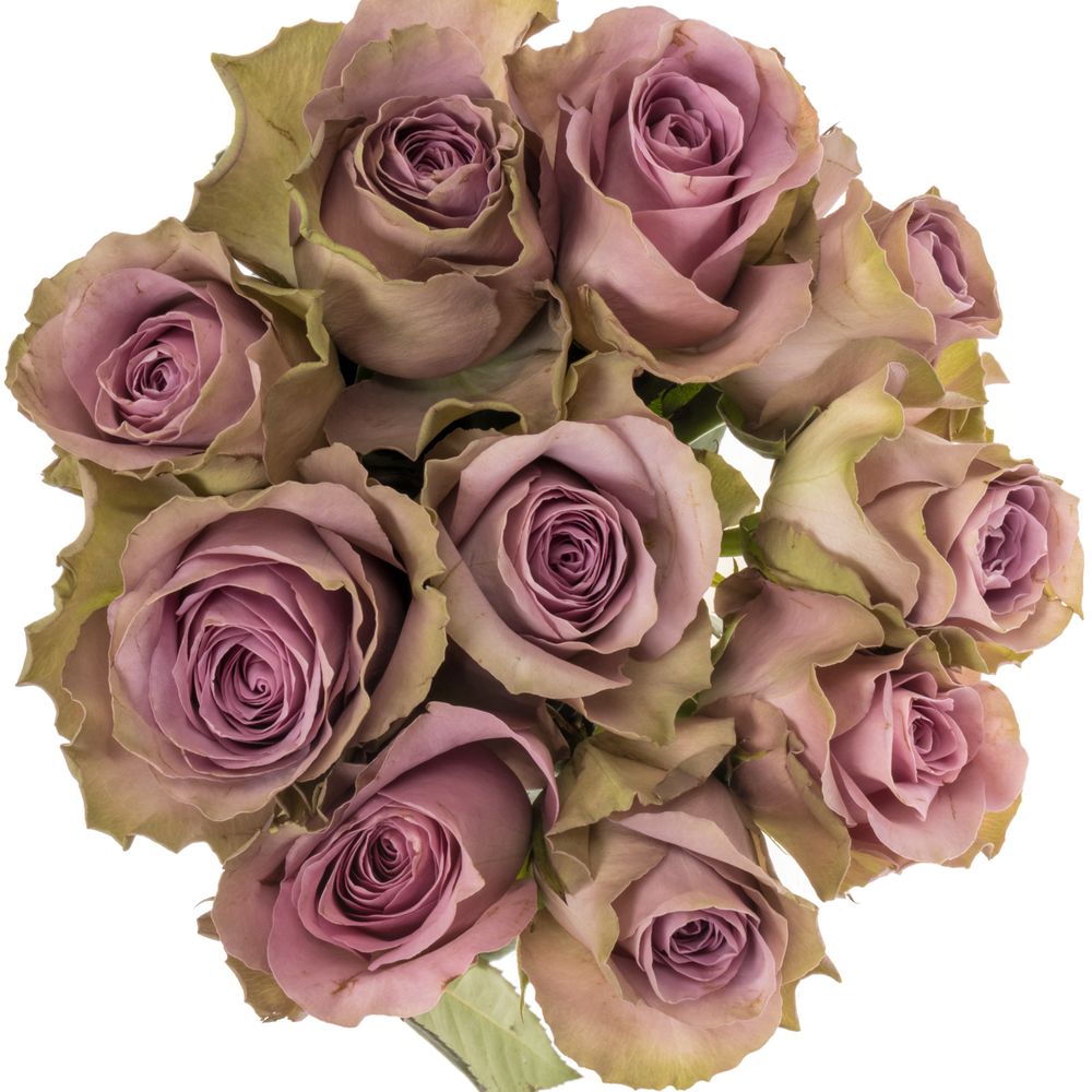 Rose lila/hell grün Tiara 50cm