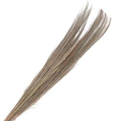 Trocken Broom Grass weiss L100cm