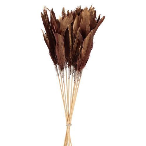 Feder auf Stab burgundy L58cm x12