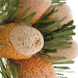 Banksia Hookeriana 50cm