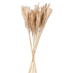 Feder auf Stab gold L58cm x12