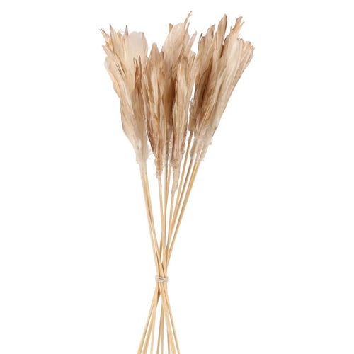 Feder auf Stab gold L58cm x12