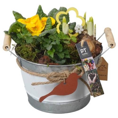 Garten.Arr PTBM3794 T18 H020