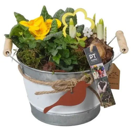 Garten.Arr PTBM3794 T18 H020