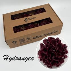 Seiden Wachs Hortensie weinrot