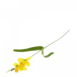Seiden Freesia gelb L50cm