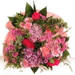 Strauß rosa Hortensia 20 Stiele 45cm