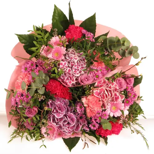 Strauß rosa Hortensia 20 Stiele 45cm