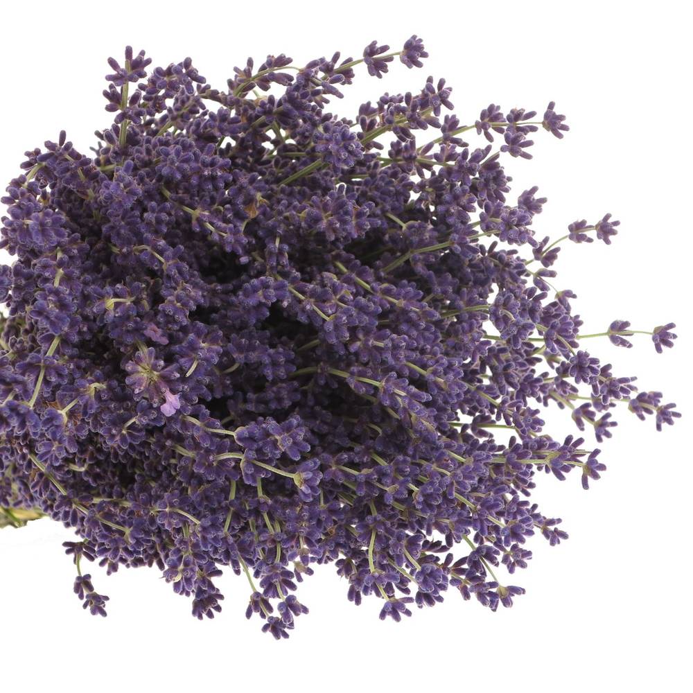 Lavendel blau/grau Frisch 200Gramm