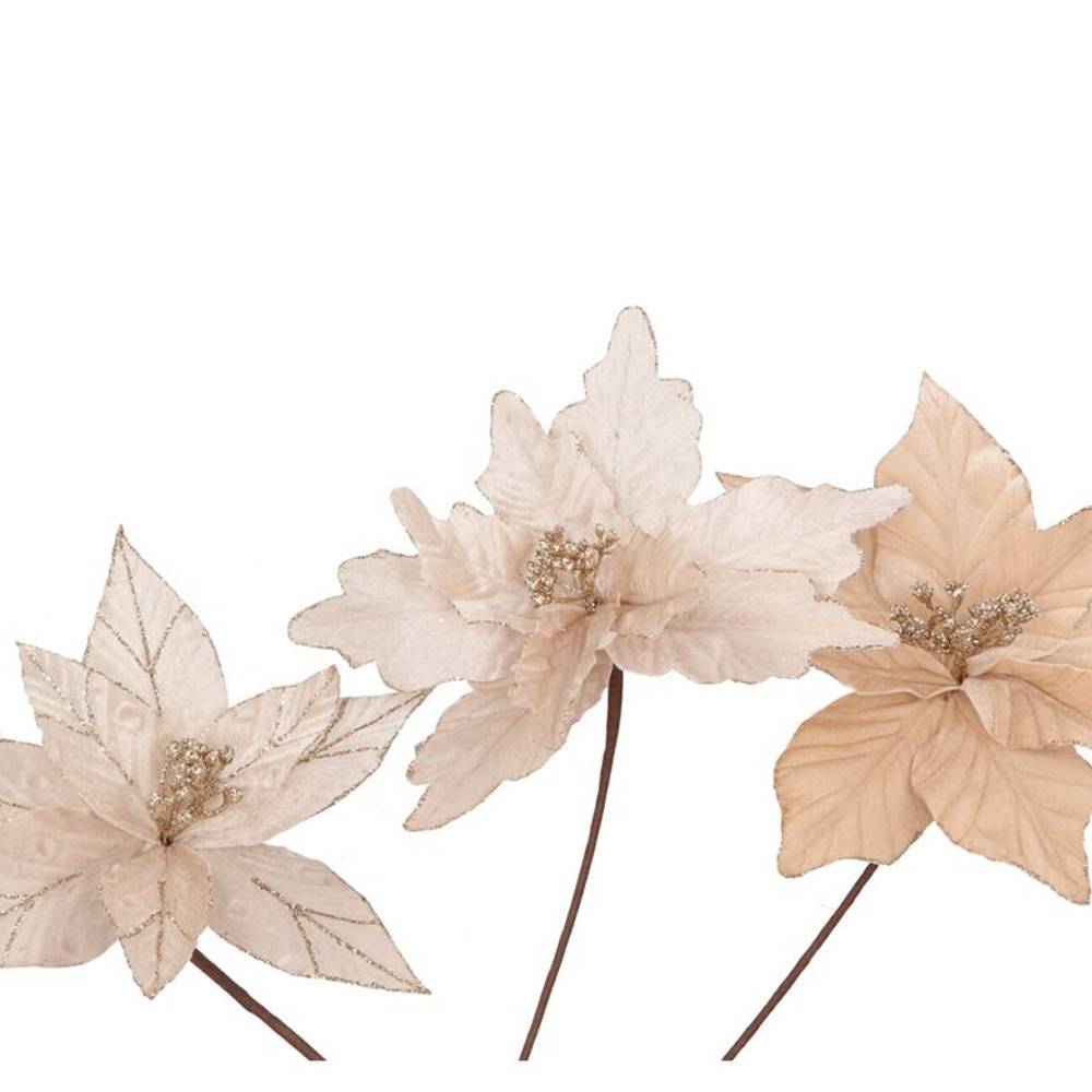 Seiden Poinsettia mix creme L24 cm