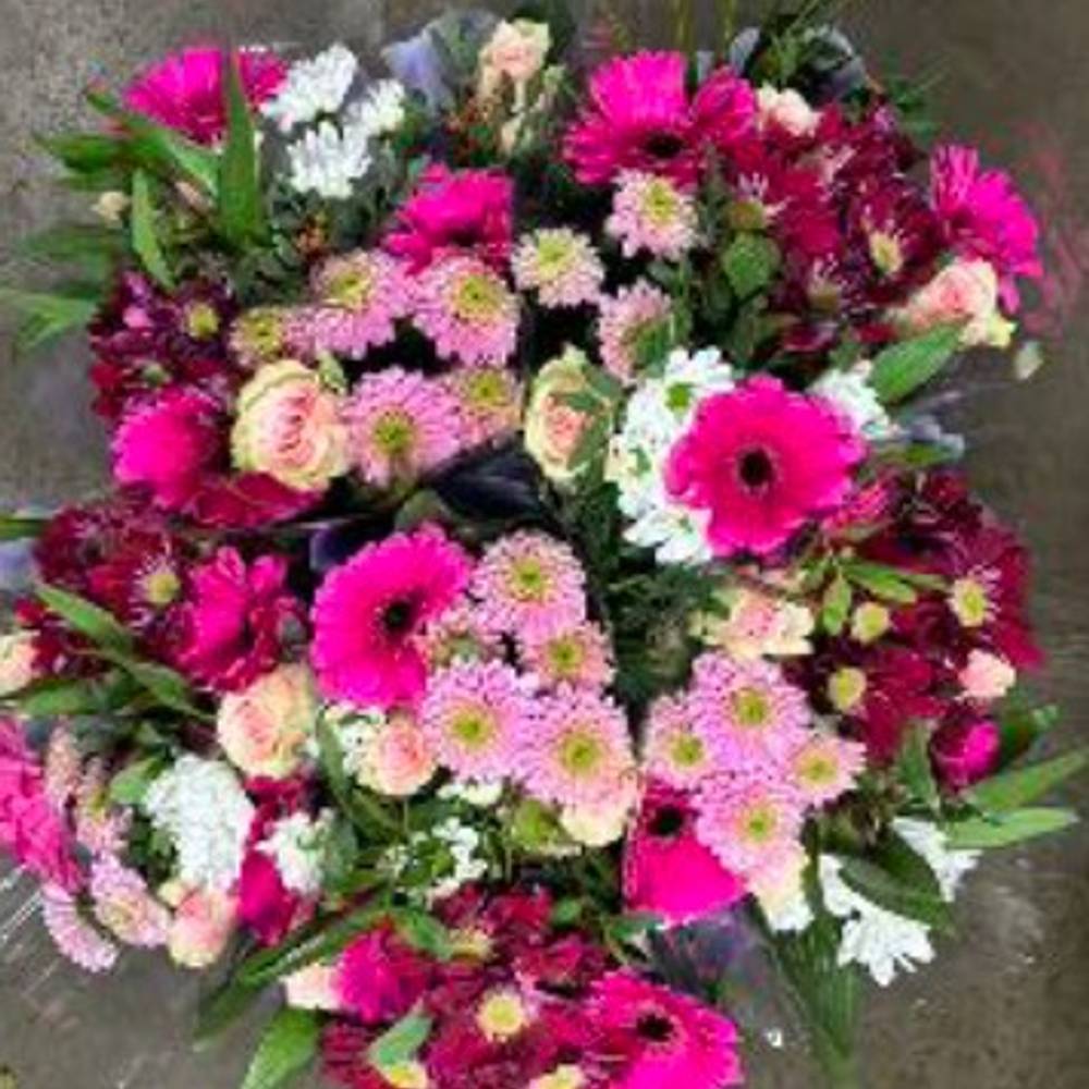 Strauß Raven cerise 50cm 12 Stiele